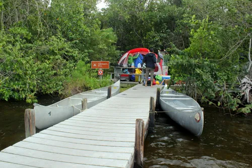 Lostman's Five Campsite Picture 1