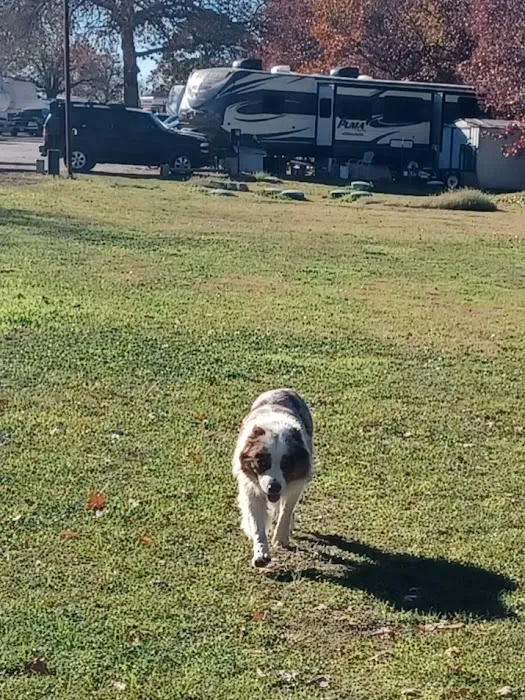 Rock N Robin RV Resort Picture 3