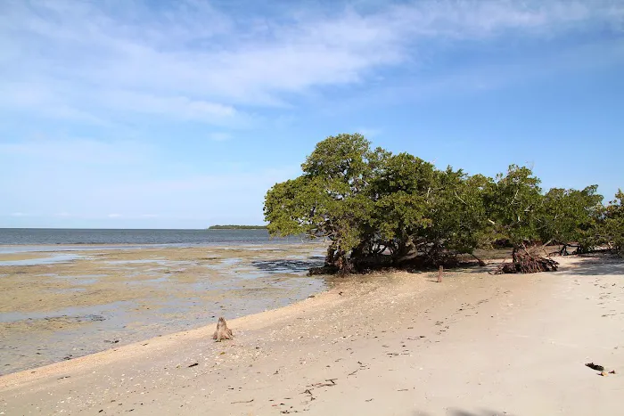 Tiger Key Campsite Picture 2