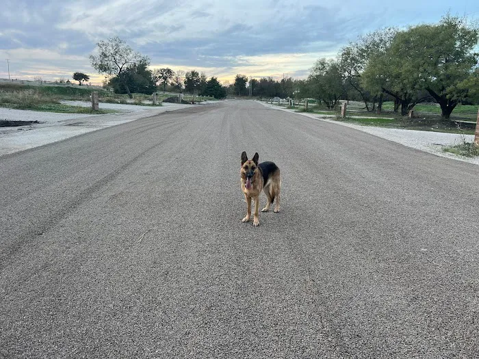 City Limits RV Resort Picture 6