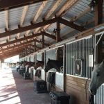 Triple V Ranch Equestrian Campground