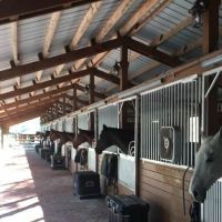 Triple V Ranch Equestrian Campground ico