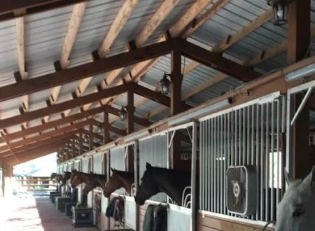 Triple V Ranch Equestrian Campground