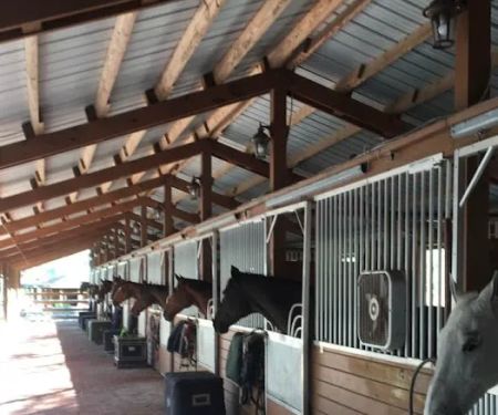 Triple V Ranch Equestrian Campground