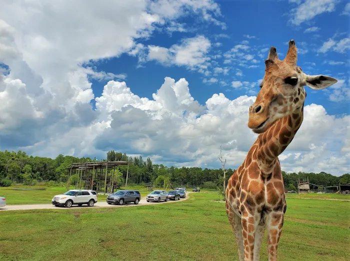 West Palm Beach / Lion Country Safari KOA Journey Picture 10