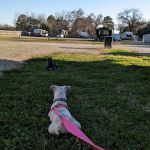 Primrose RV Park