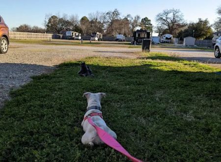 Primrose RV Park