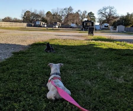 Primrose RV Park