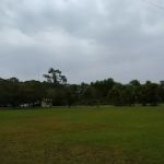 Camp Gan Israel Florida (CGI Florida)