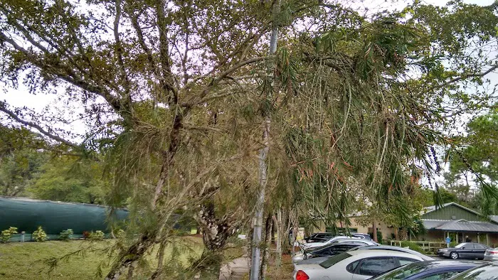 Camp Gan Israel Florida (CGI Florida) Picture 3