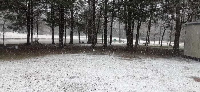 Cedar Grove RV Park & Campground Picture 8