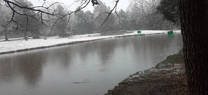 Cedar Grove RV Park & Campground Picture 9
