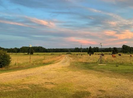 Reynolds Ranch Eclipse Camping