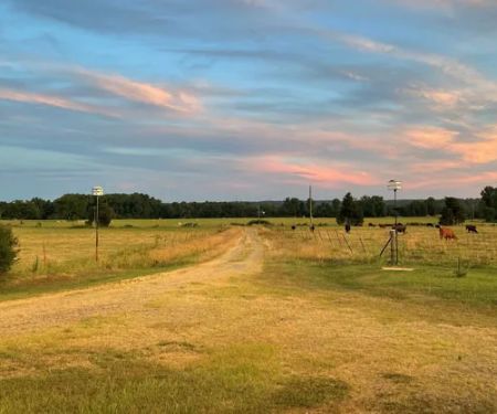 Reynolds Ranch Eclipse Camping