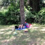 Wynnhaven Cove Mobile Home Park