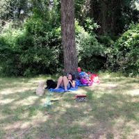 Wynnhaven Cove Mobile Home Park ico