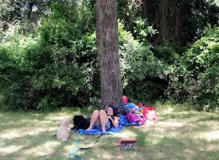 Wynnhaven Cove Mobile Home Park