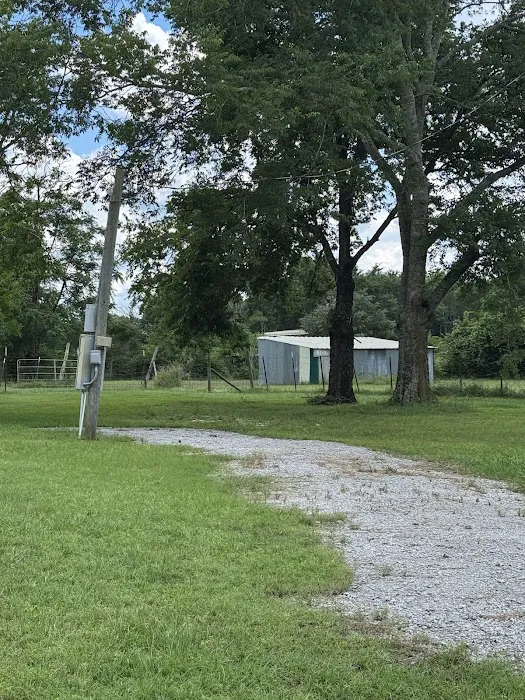 Starlight RV Park Picture 1