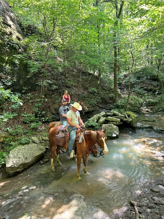 Cowboy Up Trails Picture 6