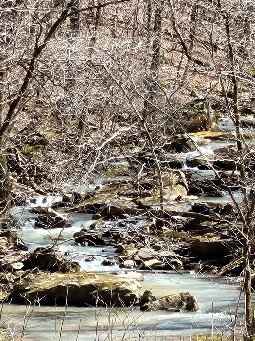 Cowboy Up Trails Picture 7