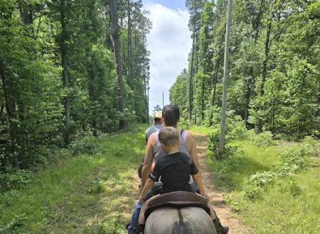 Cowboy Up Trails
