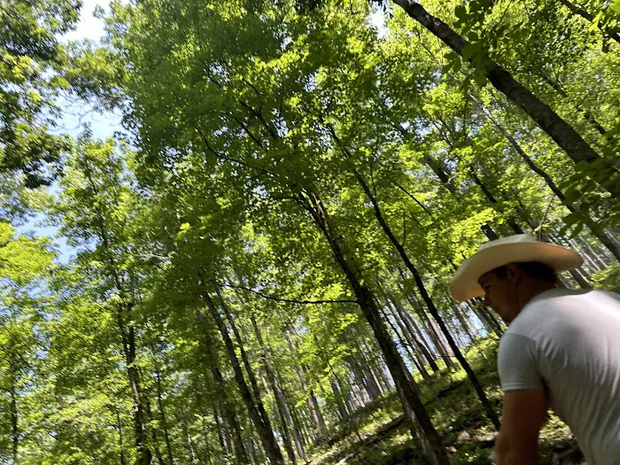 Cowboy Up Trails Picture 4