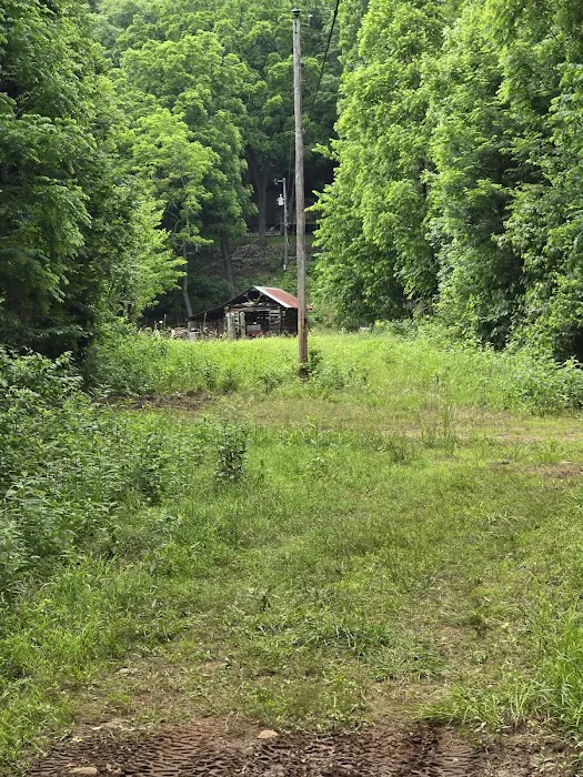 Cowboy Up Trails Picture 3