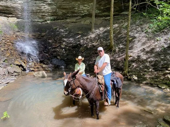 Falling Water Horse Camp Picture 4