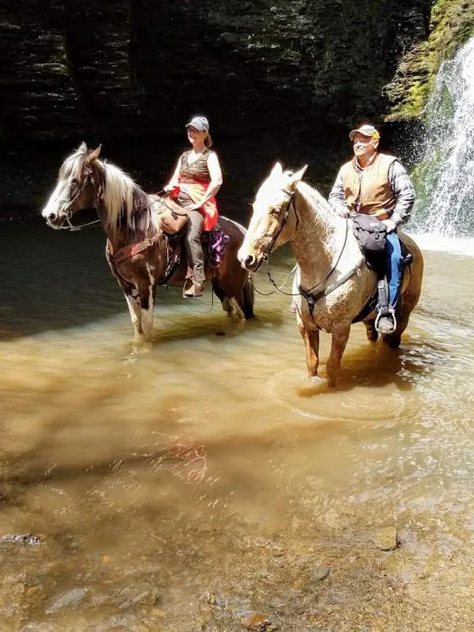 Falling Water Horse Camp Picture 5