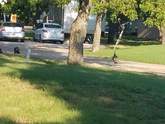 Pecan Acres RV Park Picture 6