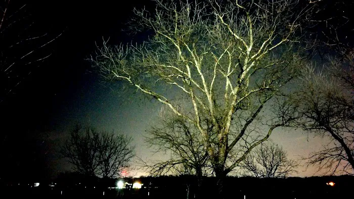 Pecan Acres RV Park Picture 9