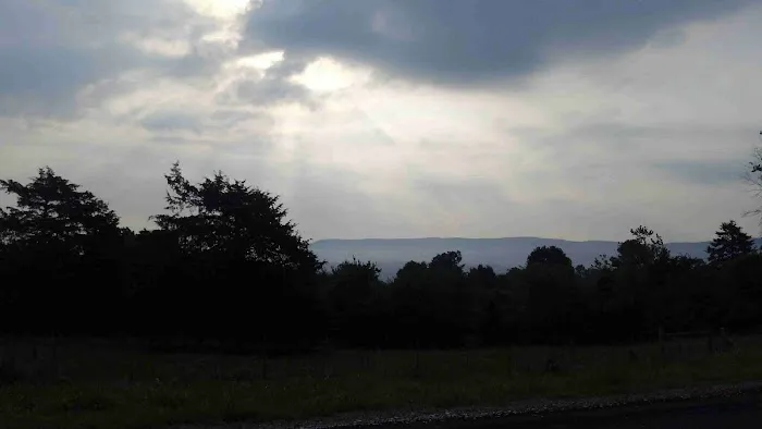 The Wildlife Campground Picture 5