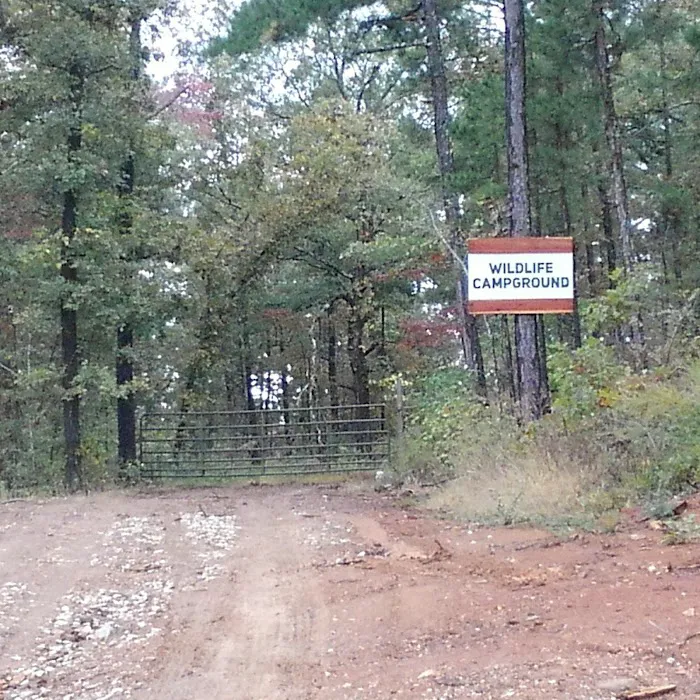 The Wildlife Campground Picture 6