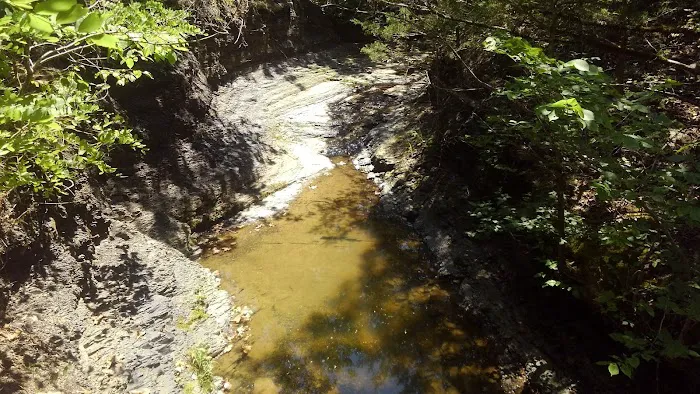 The Wildlife Campground Picture 8