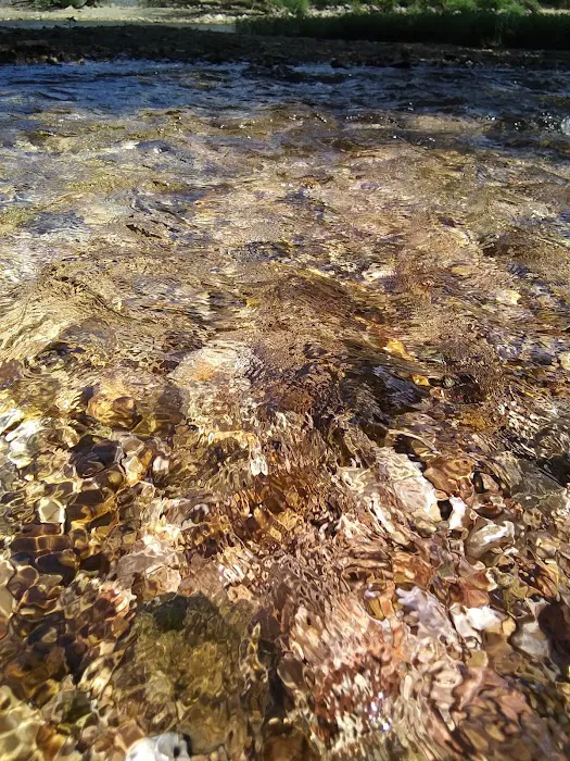 Mt. Hersey Campground Picture 8