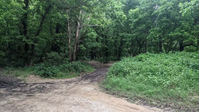 Mt. Hersey Campground Picture 6