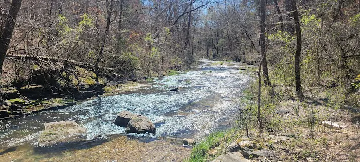 Mt. Hersey Campground Picture 7