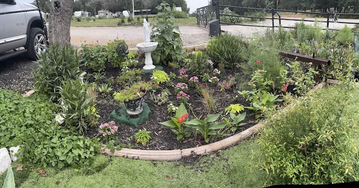 Plantation Oaks RV Ranch Picture 9