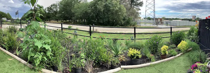 Plantation Oaks RV Ranch Picture 8