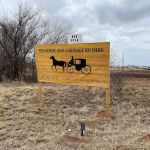 The Horse And Carriage RV Park