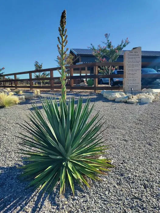 YELLOWROSE RV RESORT Picture 4