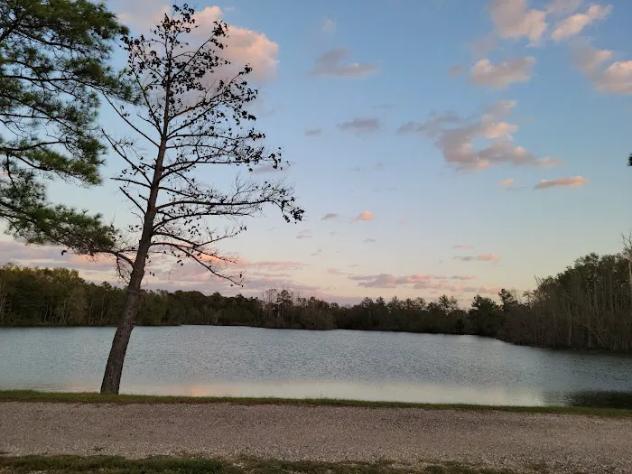 Piney Point Living Picture 5