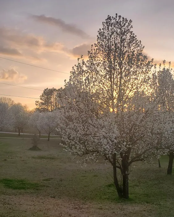 Piney Point Living Picture 2