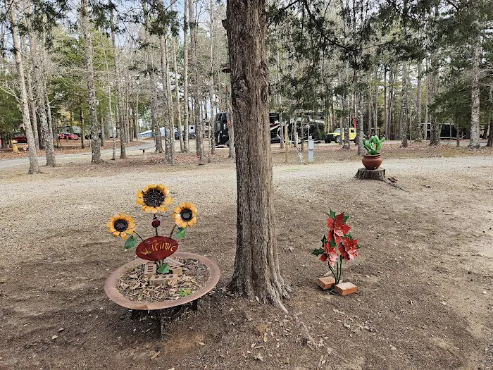 Palestine RV park Picture 6