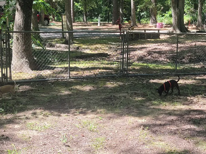 Palestine RV park Picture 4
