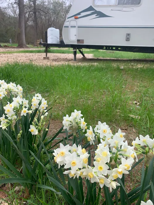 Songbird RV Park Picture 1