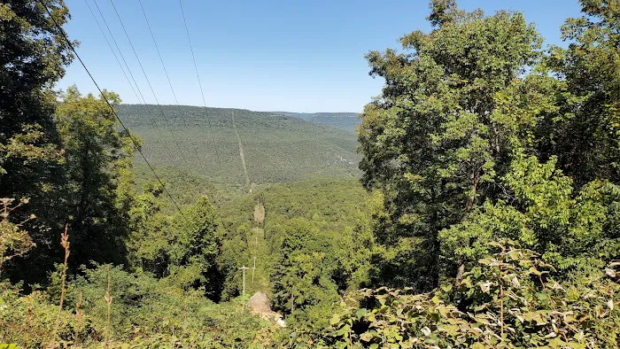 Kyles Landing Campground Picture 2