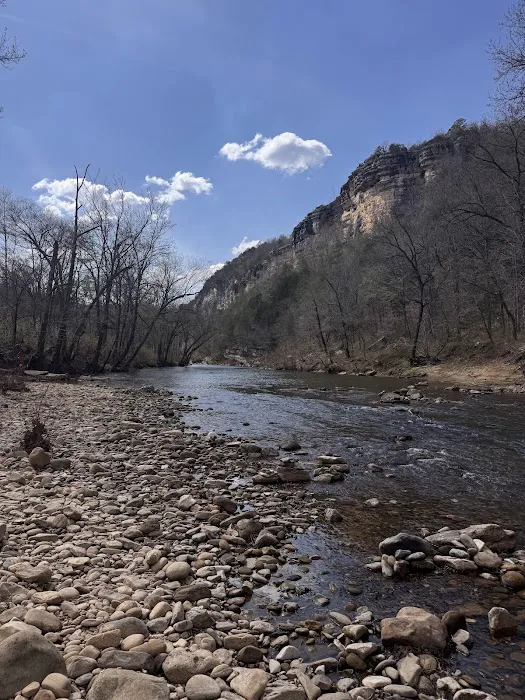 Kyles Landing Campground Picture 4