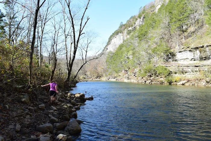 Kyles Landing Campground Picture 7