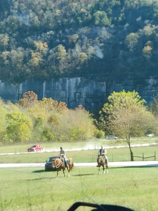 Steel Creek Campground Picture 8